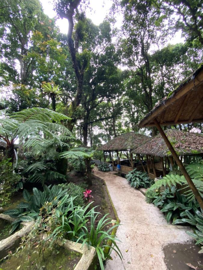 Laksana Rasa Resort Ciwidey Kültér fotó